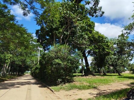 EN SANTA CRUZ - MONTERO TERRENO AMPLIO EN VENTA ZONA NORTE - MONTERO - URBANIZACION LA ARBOLEDA