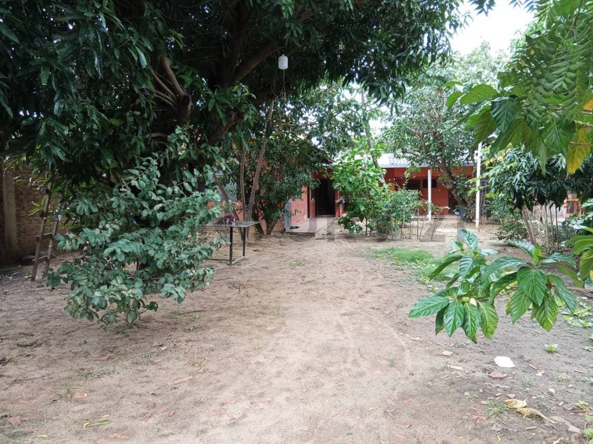 Foto principal 2