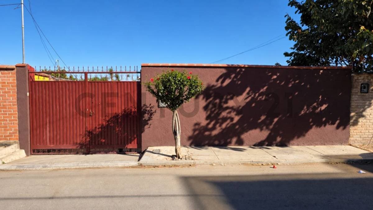 Foto principal 1