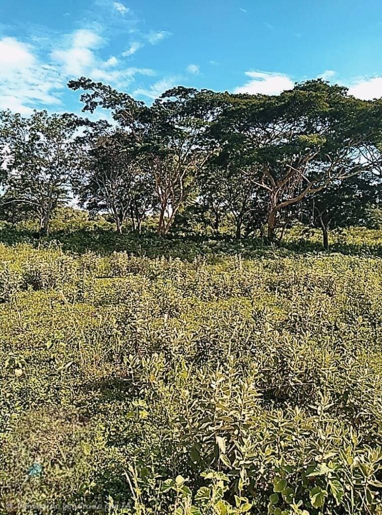 Foto principal 5