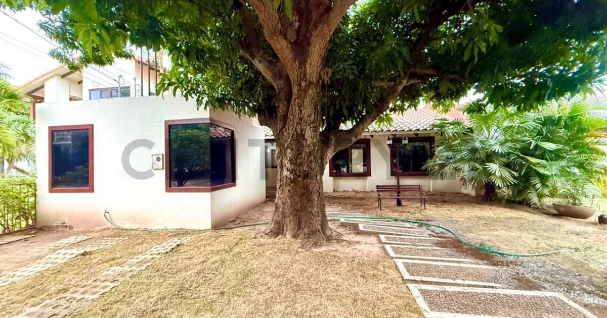 Foto principal 2
