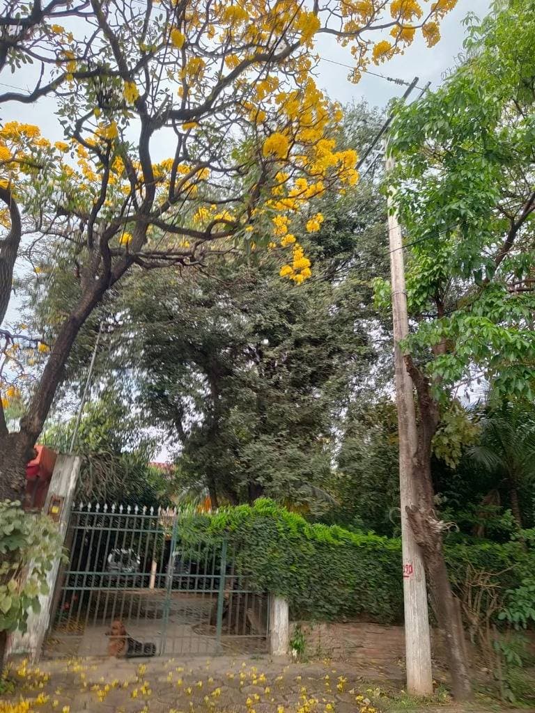 Foto principal 7