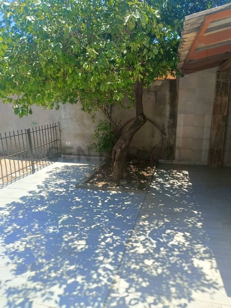 Foto principal 6