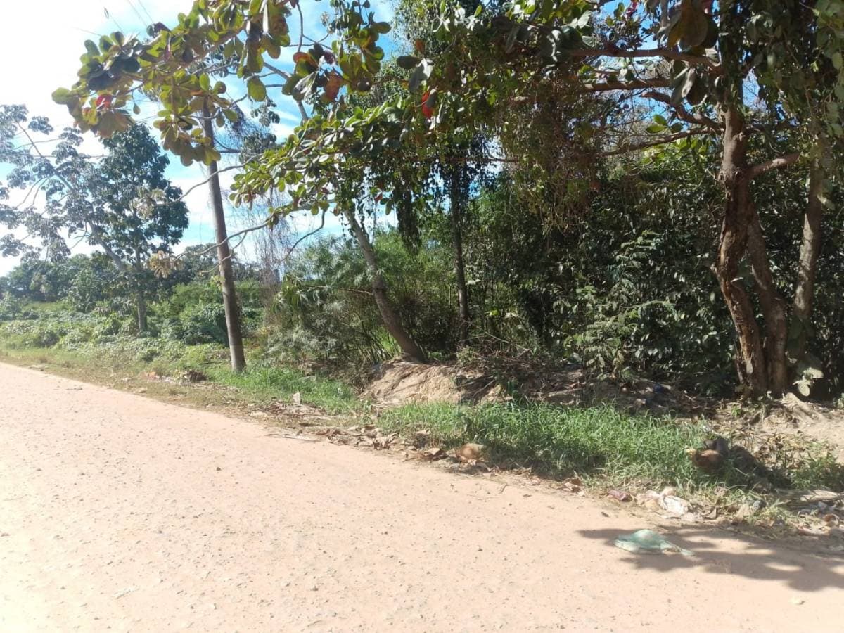 Foto principal 1