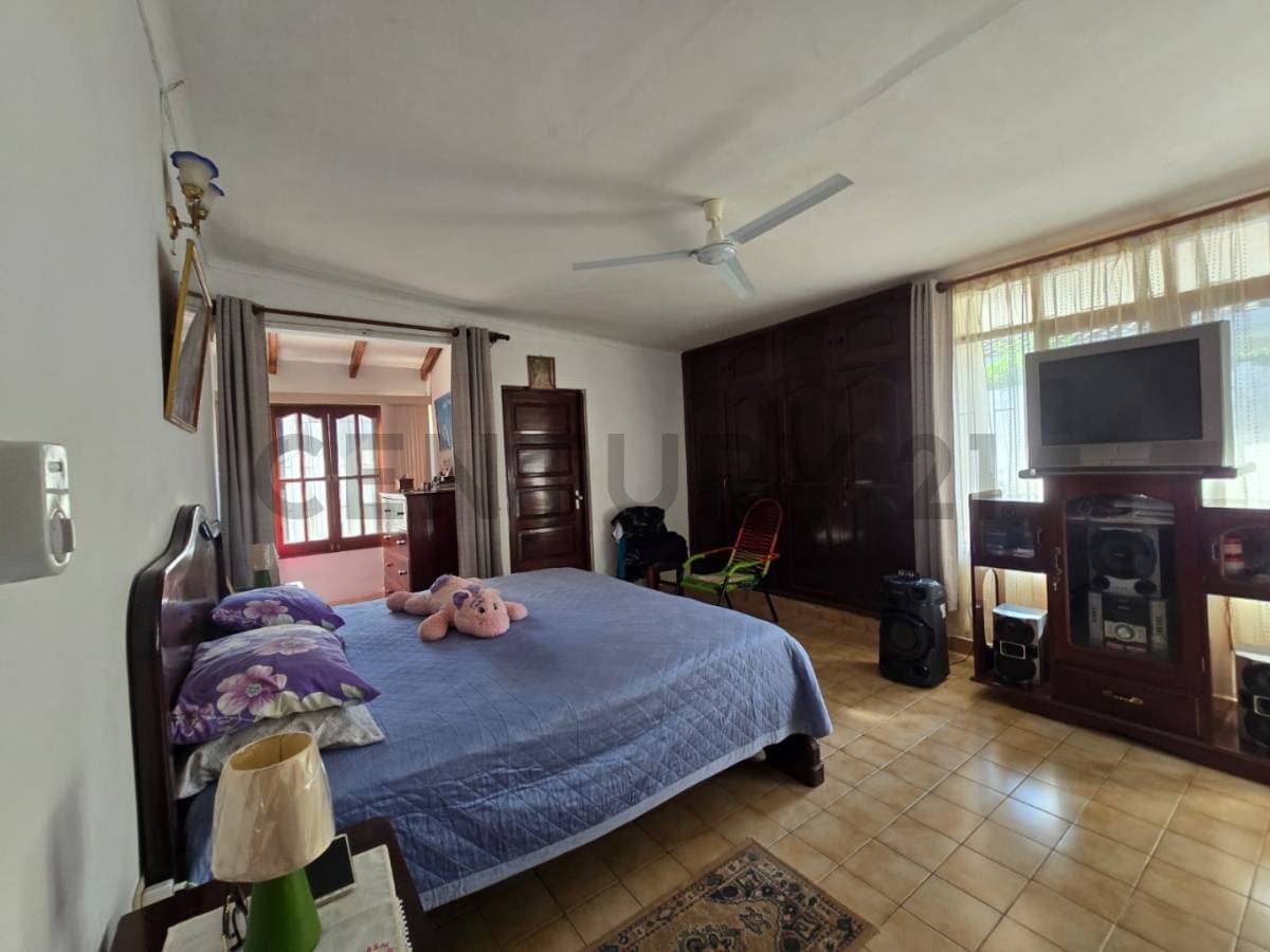 Foto principal 30