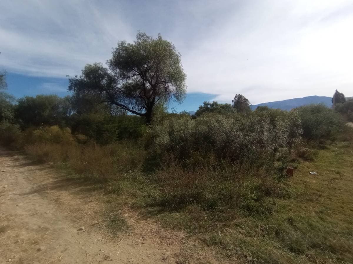 Foto principal 7