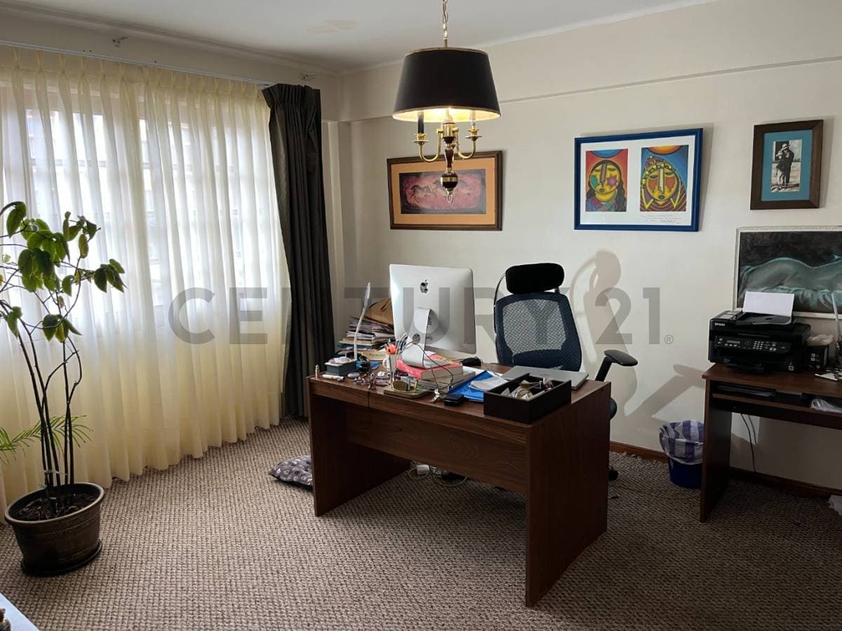 Foto principal 13