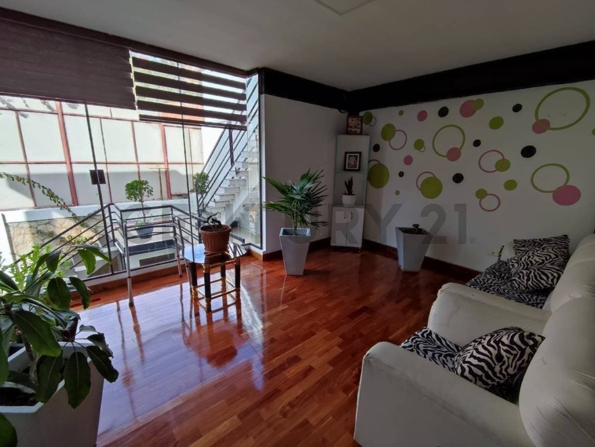 Foto principal 25