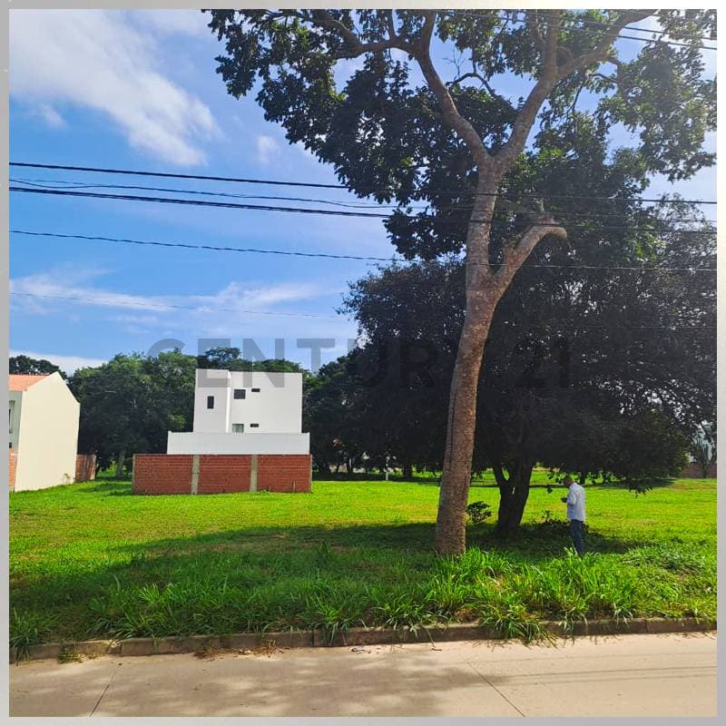 Foto principal 1