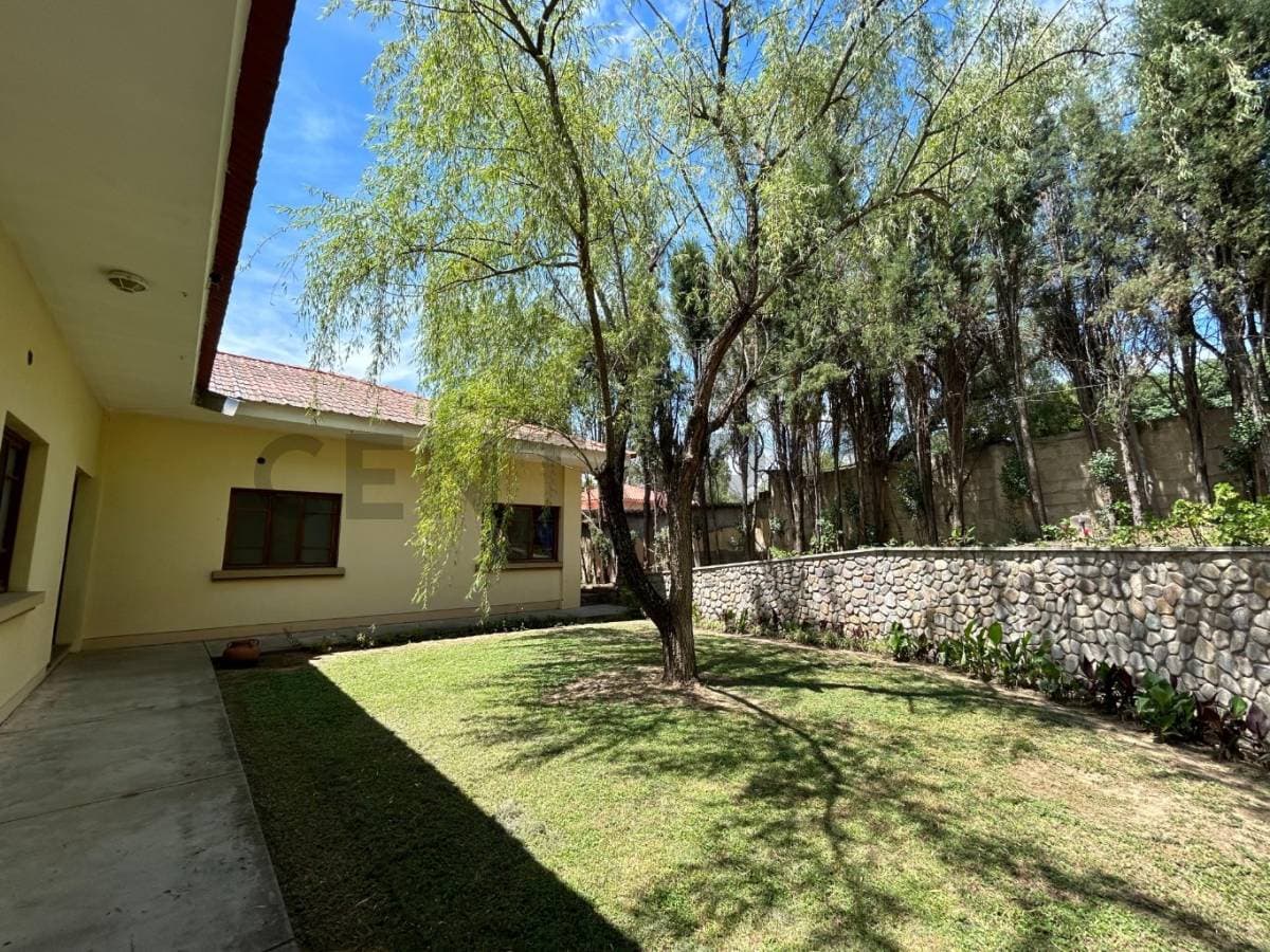 Foto principal 33