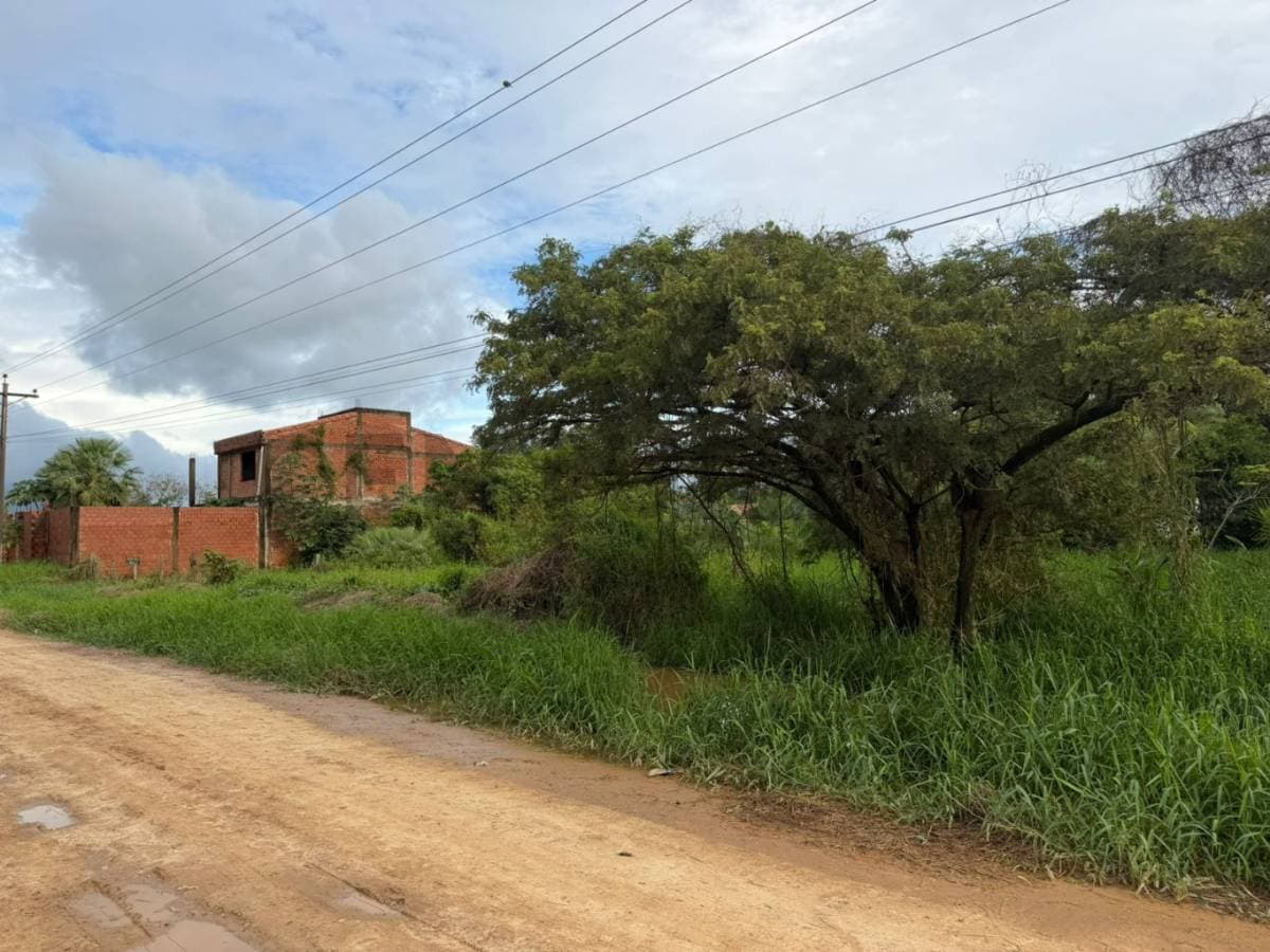 Foto principal 5