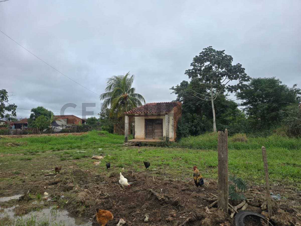 Foto principal 1