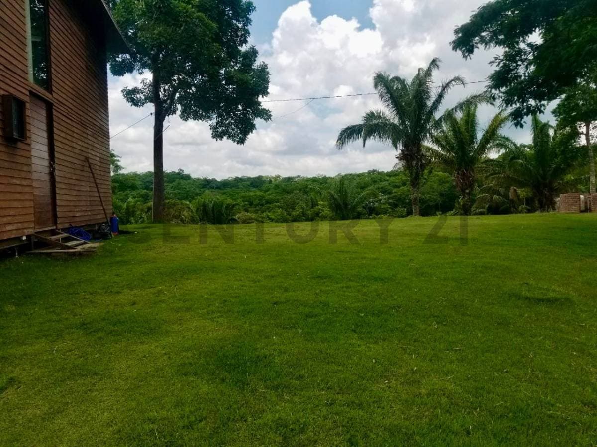 Foto principal 15