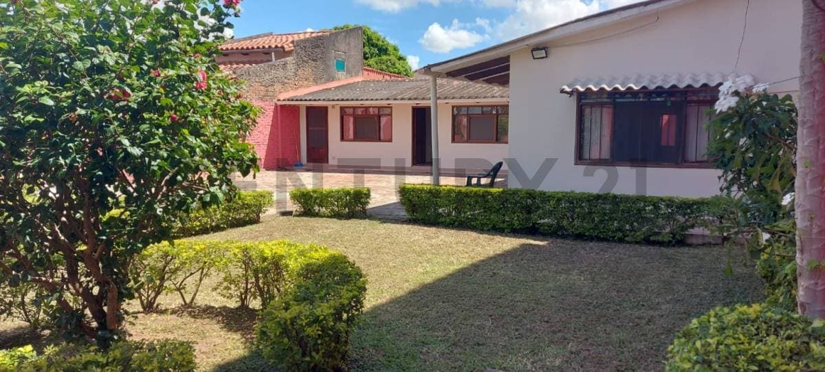 Foto principal 5