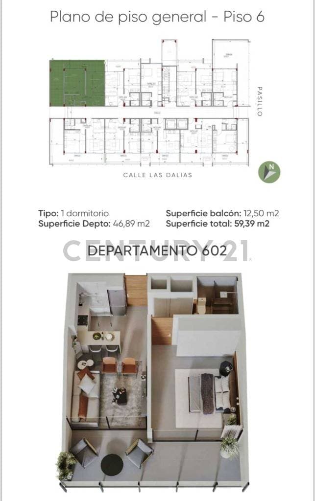 Foto principal 11