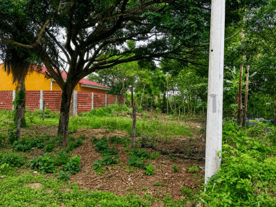 Foto principal 7