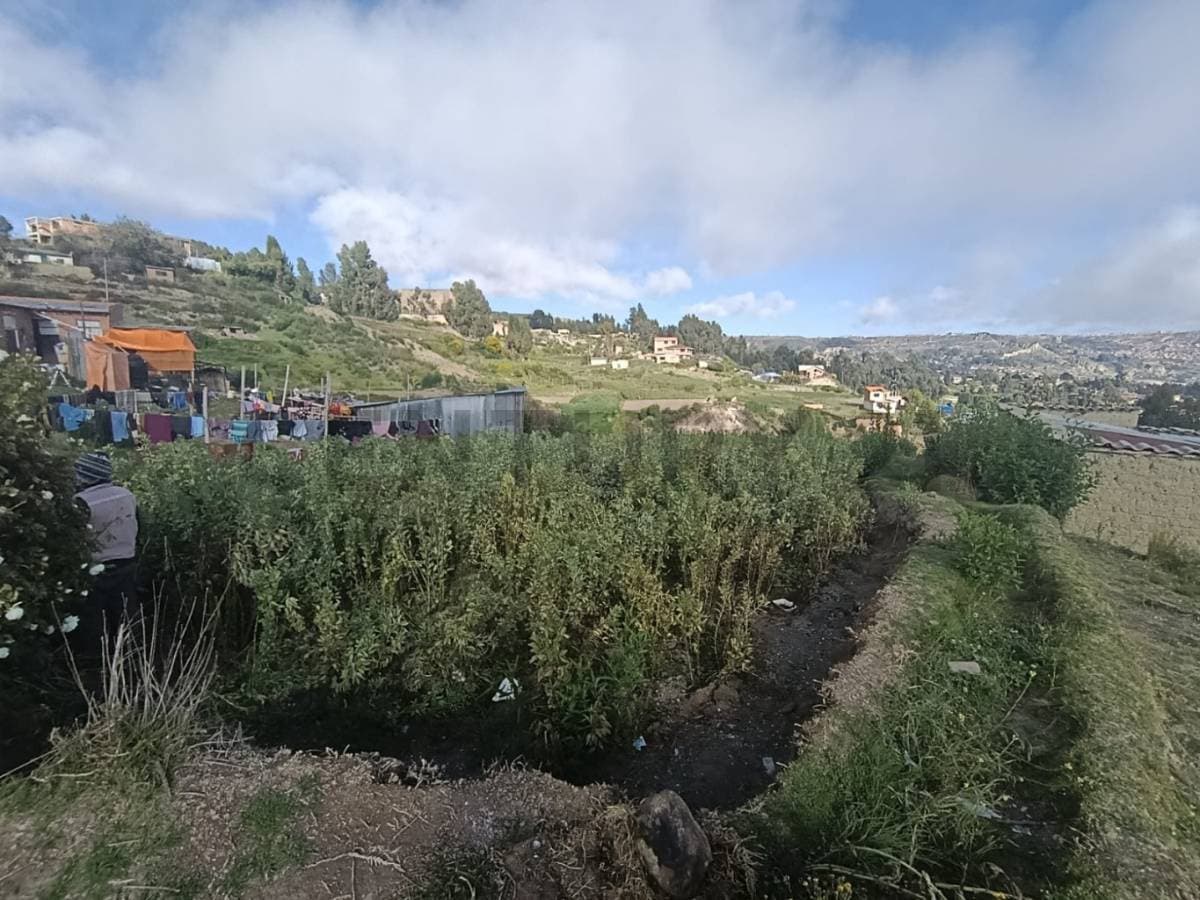 TERRENO EN VENTA – COM. MARQUIRIVI, ACHOCALLA