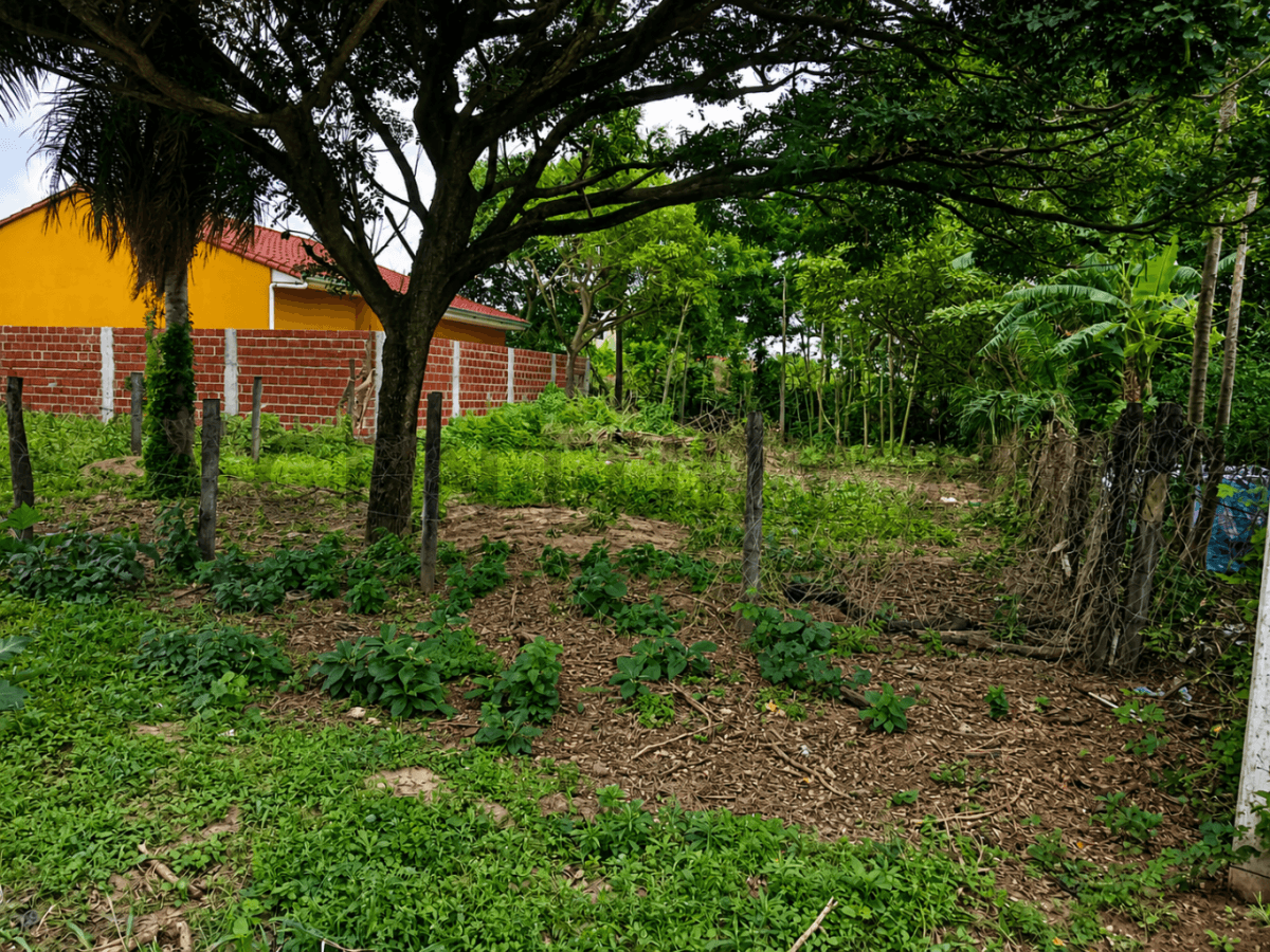 Foto principal 6