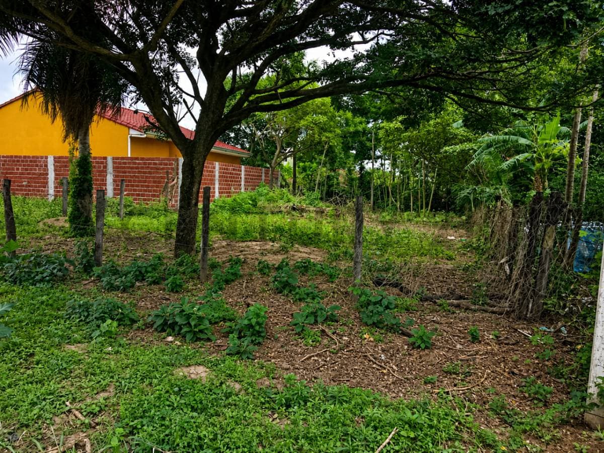 Foto principal 1