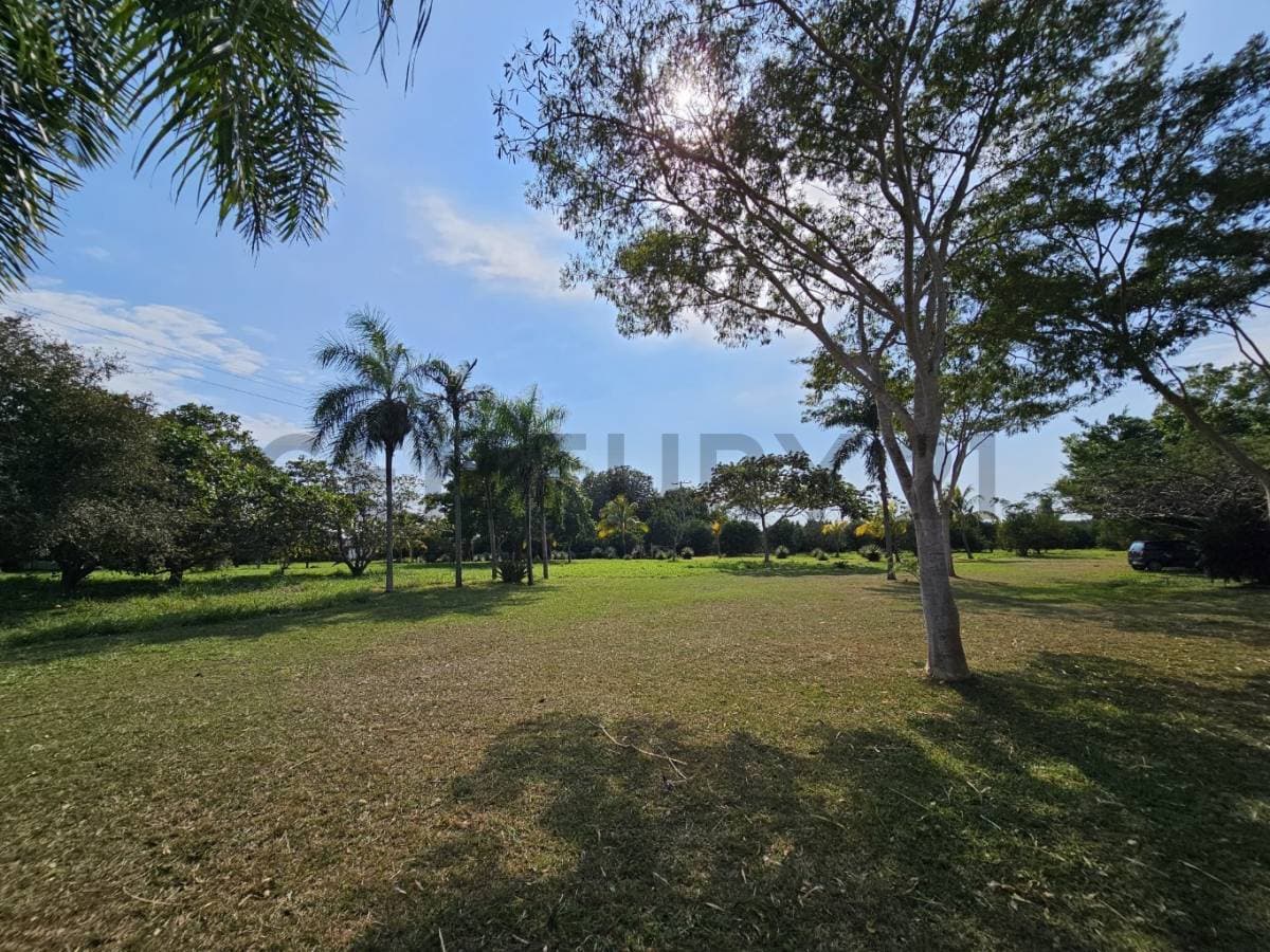 Foto principal 36