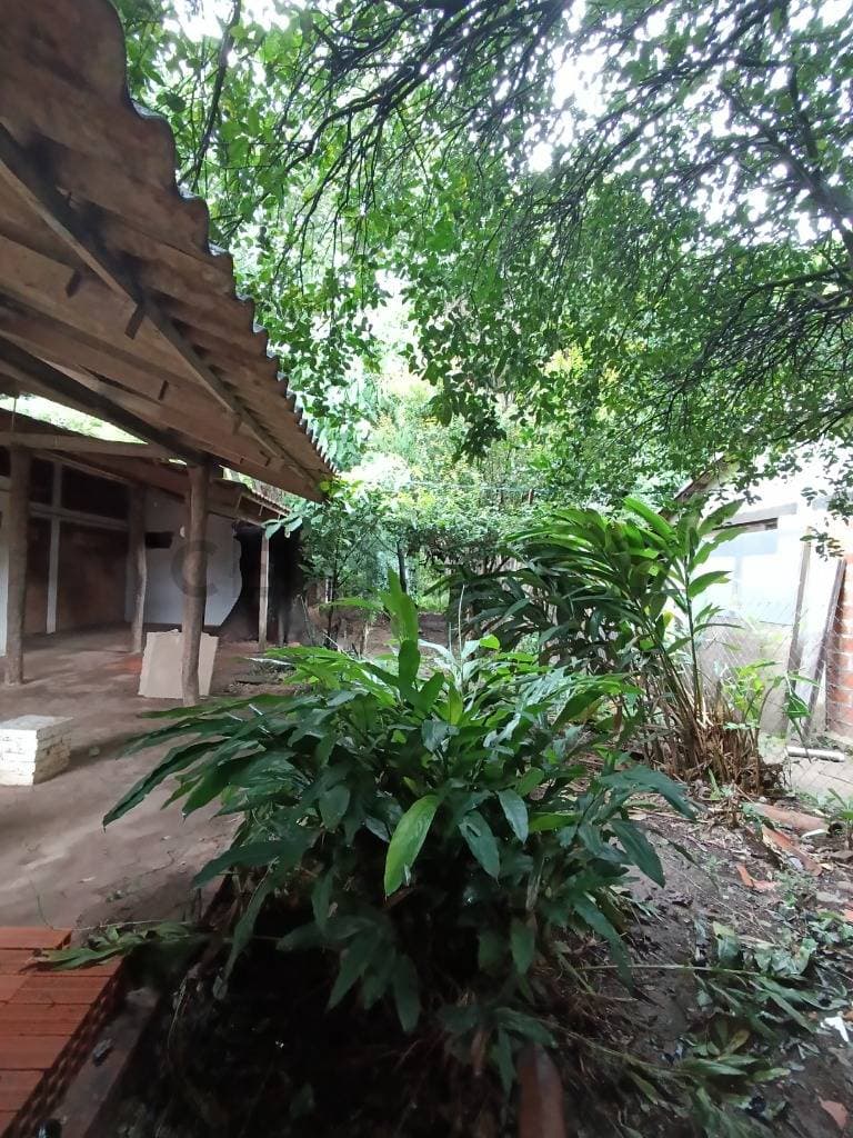 Foto principal 3