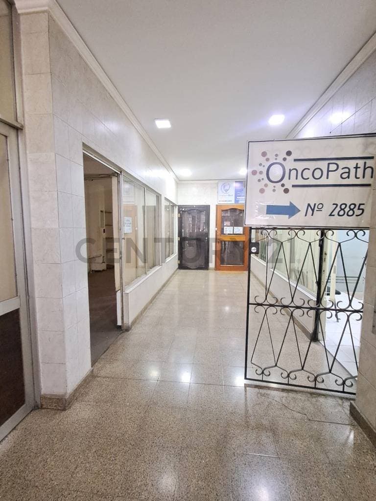 Foto principal 4