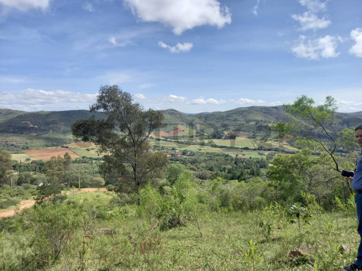 Foto principal 4