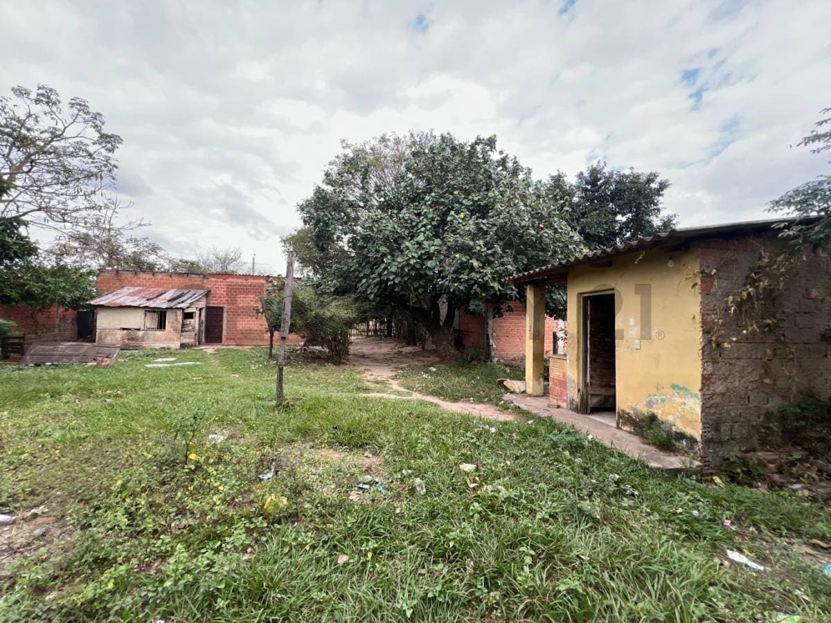 Foto principal 6