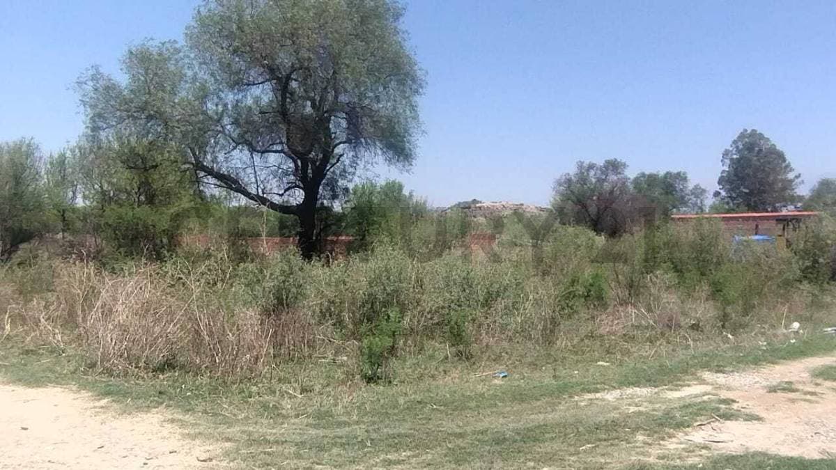 Foto principal 2
