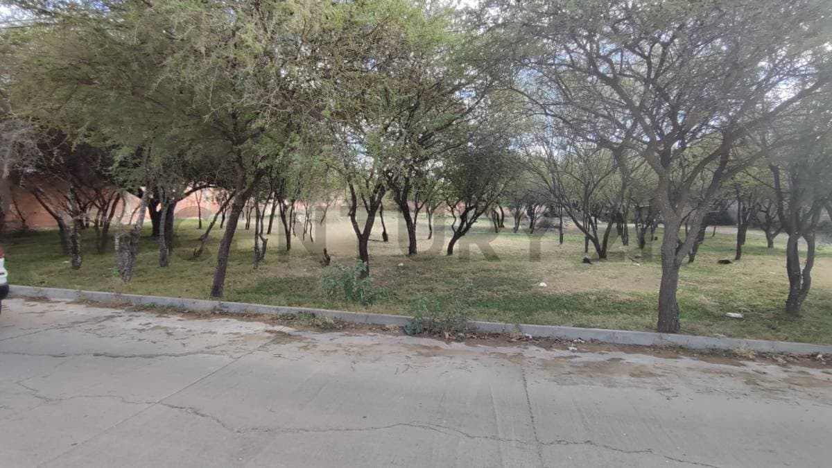 Foto principal 4