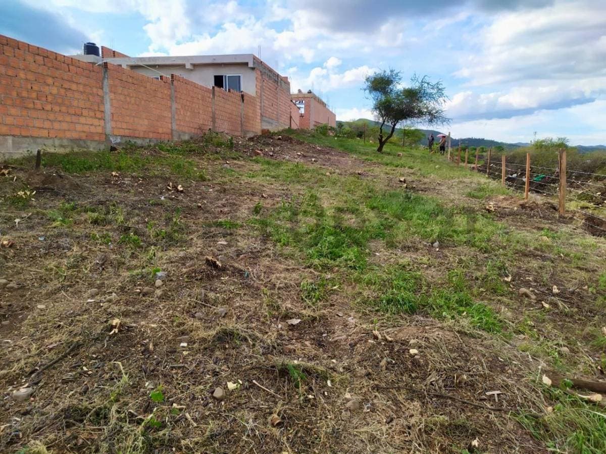 Foto principal 5