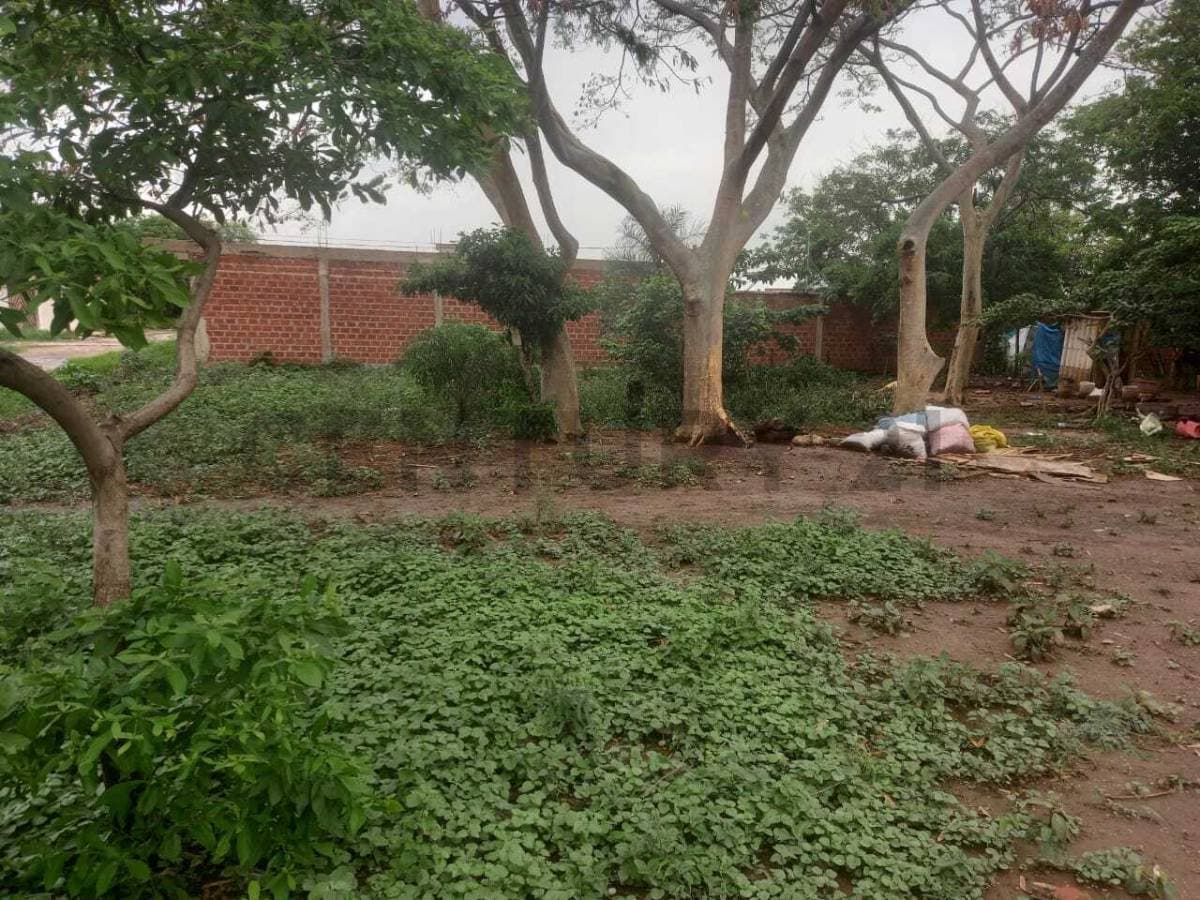 Foto principal 5