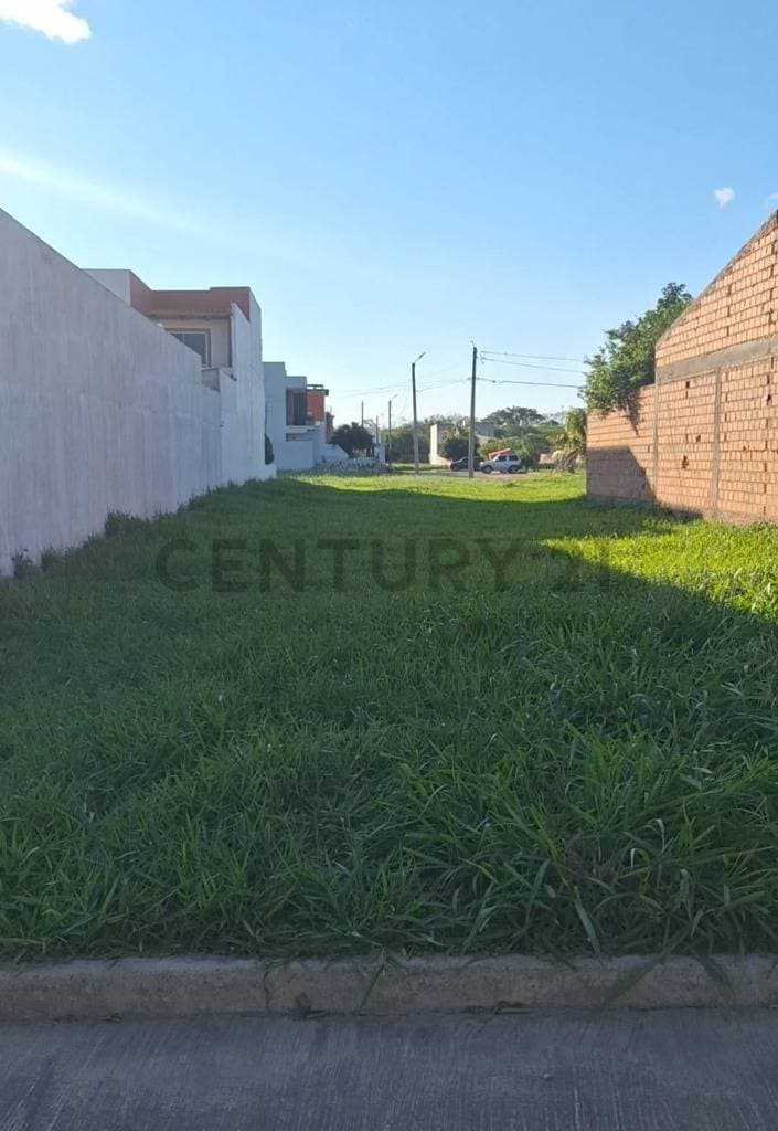 Foto principal 1
