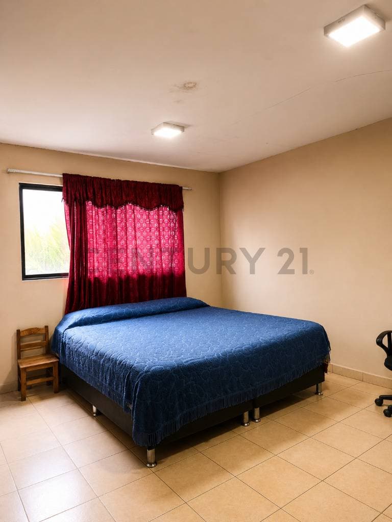 Foto principal 6