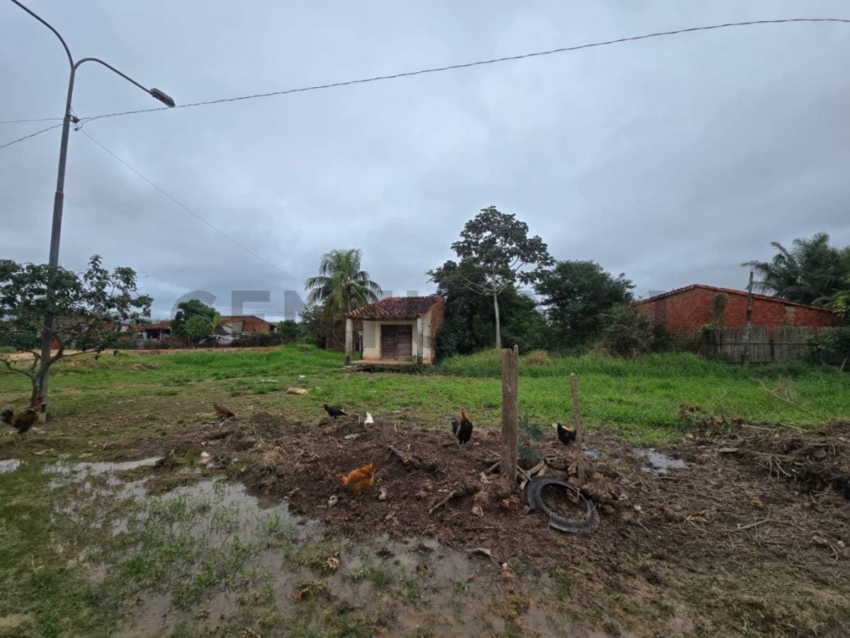 Foto principal 11