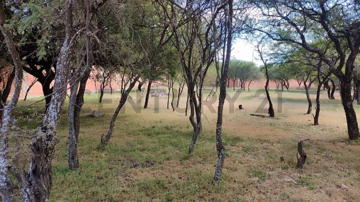 Foto principal 8