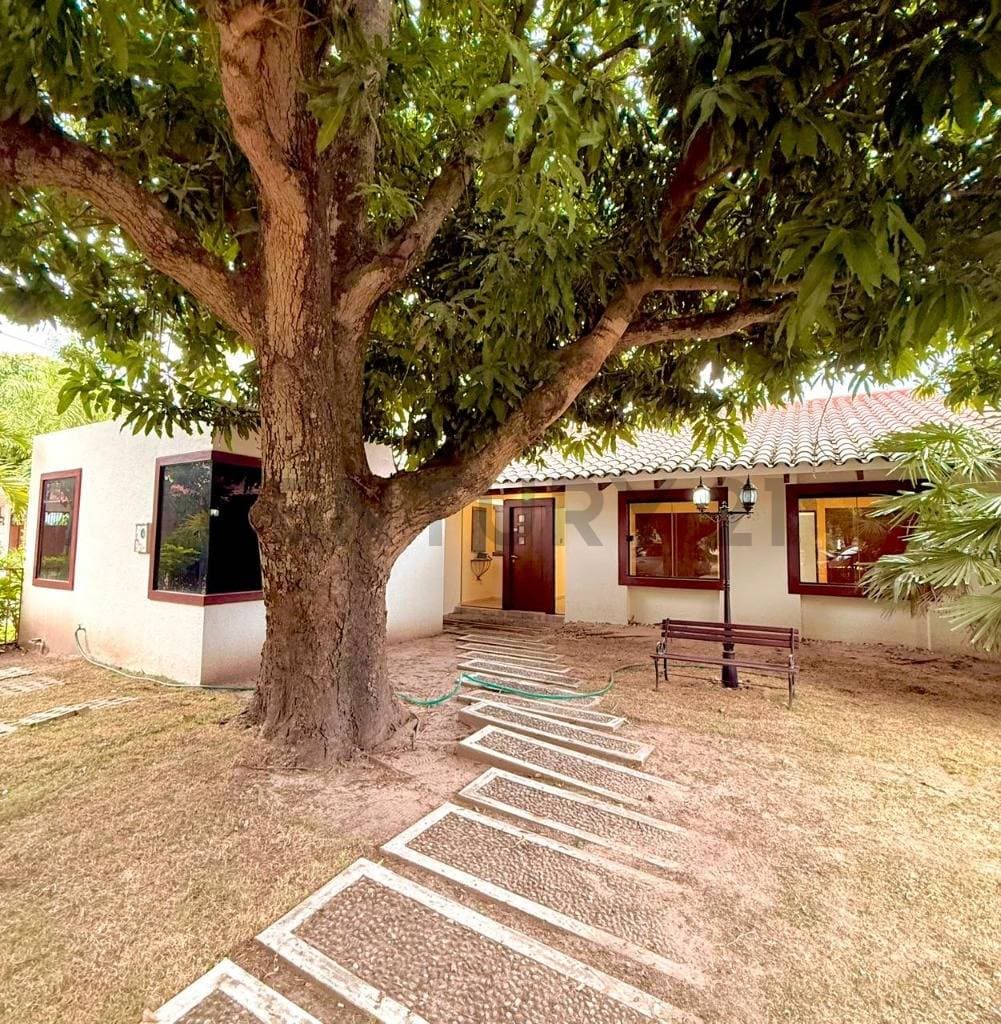 Foto principal 3