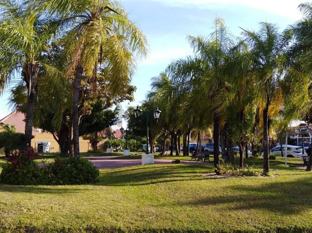 Foto principal 15