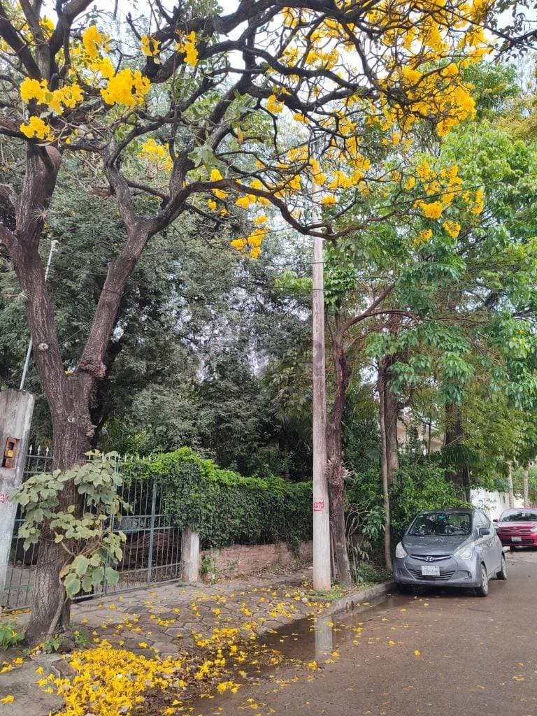 Foto principal 6