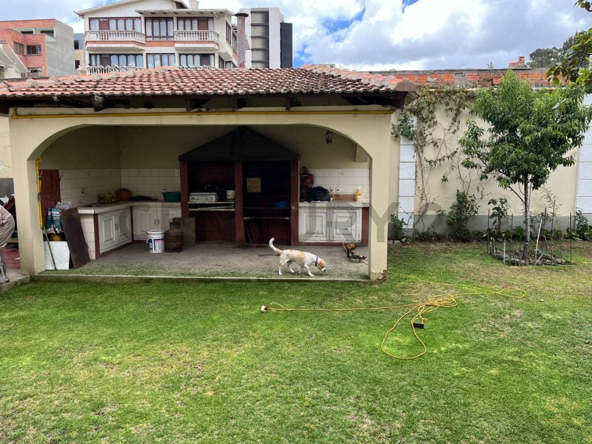 Foto principal 19