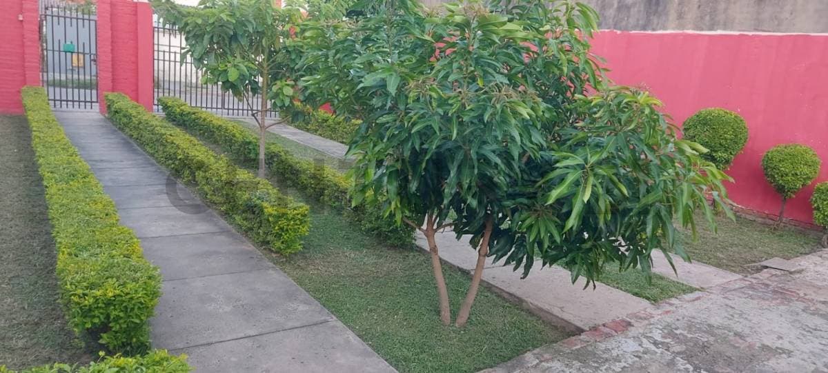 Foto principal 3