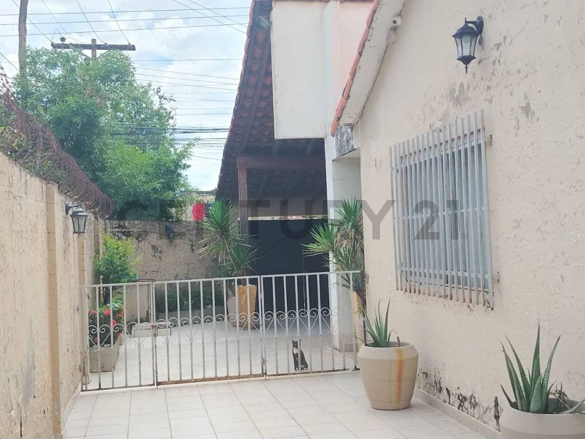Foto principal 13