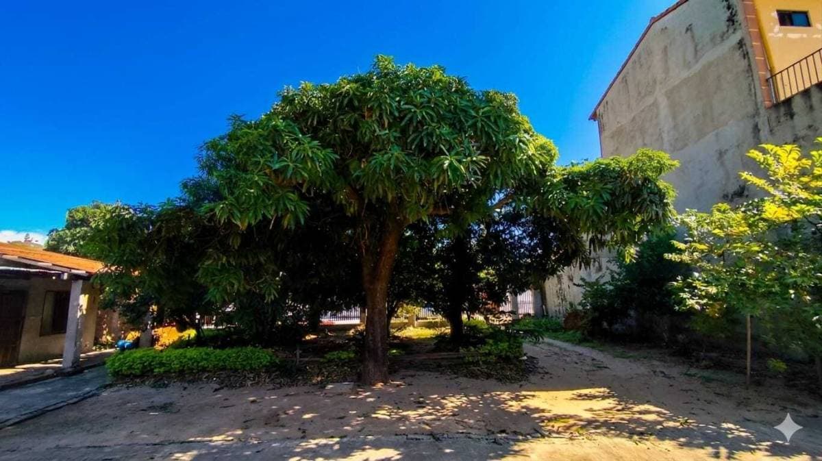 Foto principal 3