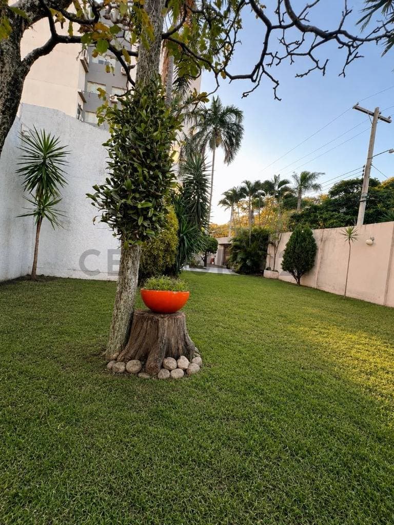 Foto principal 5