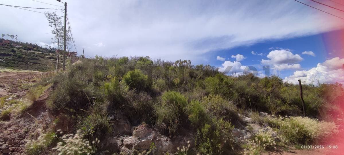 Foto principal 6