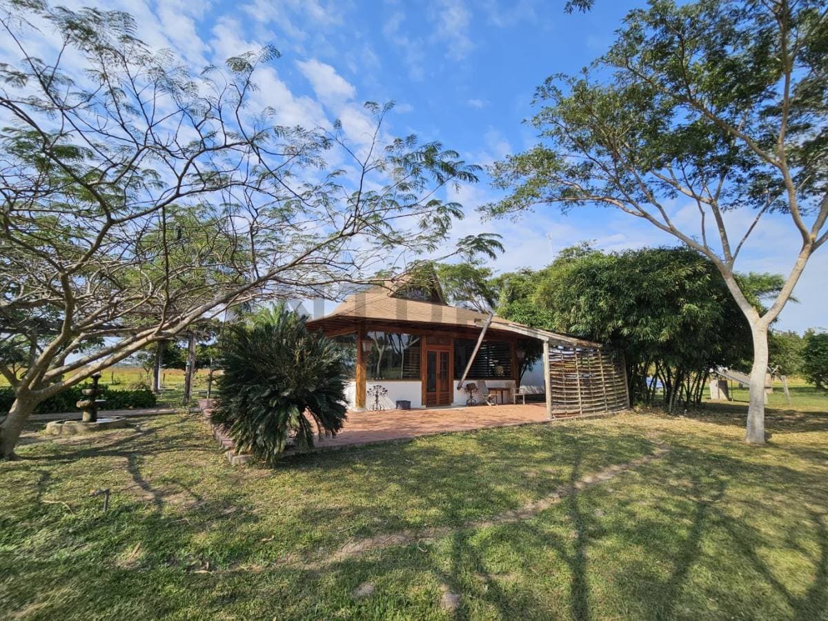 Foto principal 5