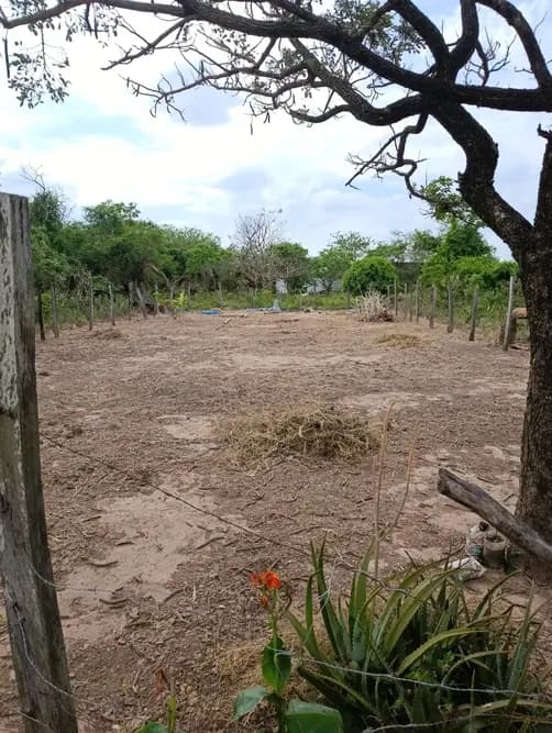 Terreno en venta Urbanización Gremial, Av. 3 pasos al frente, en la zona Este